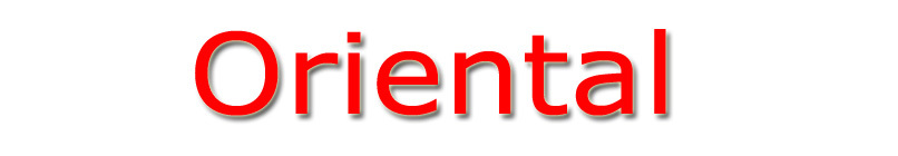 Oriental Employment Services LLP